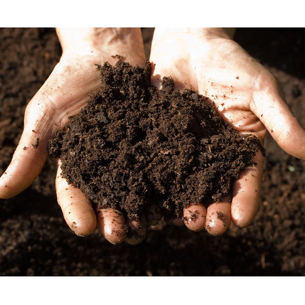 Human, Finger, Soil, Nail, Thumb, Gesture, Compost, 