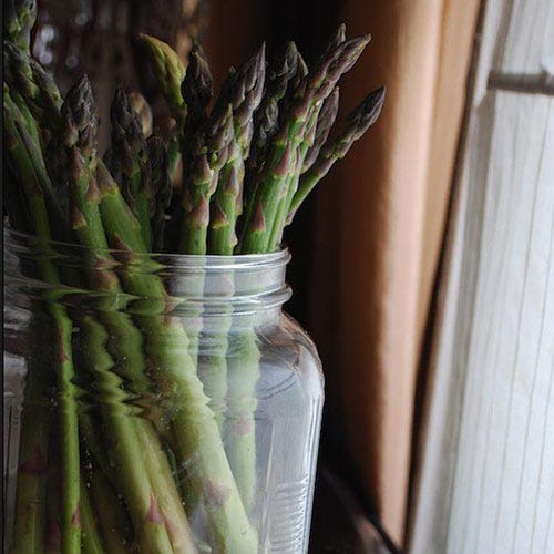 Green, Botany, Produce, Terrestrial plant, Grass family, Plant stem, Flowering plant, Whole food, Window treatment, Asparagus, Green, Botany, Produce, Terrestrial plant, Grass family, Plant stem, Flowering plant, Whole food, Window treatment, Asparagus,