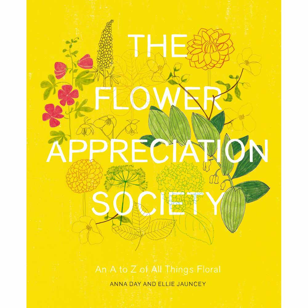 Yellow, Text, Font, Poster, Publication, Graphic design, Graphics, Book, Calligraphy, Illustration, 