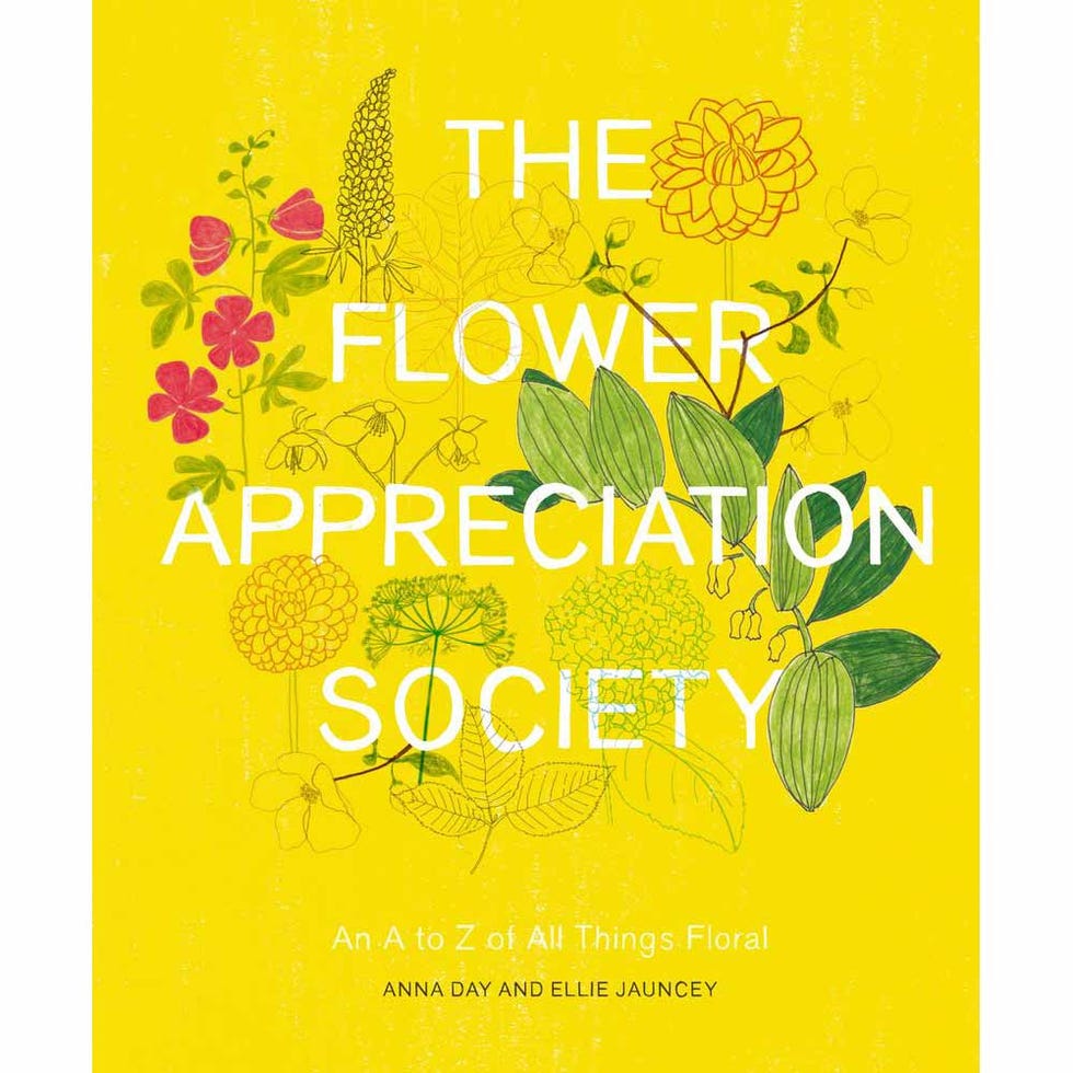 Yellow, Text, Font, Poster, Publication, Graphic design, Graphics, Book, Calligraphy, Illustration, 