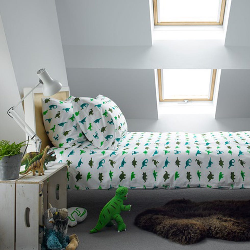 Green, Room, Interior design, Wall, Floor, Flowerpot, Interior design, Iguania, Home, Houseplant, 