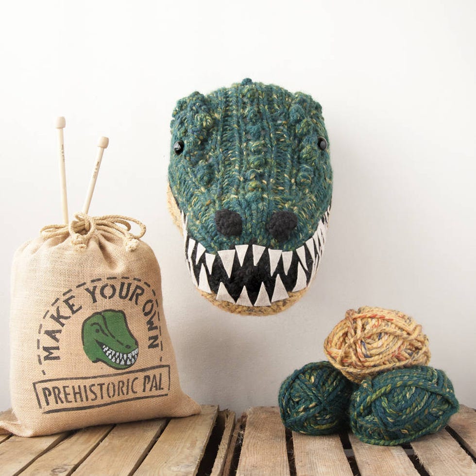 Tooth, Jaw, Teal, Fang, Still life photography, Collection, Personal care, Label, 