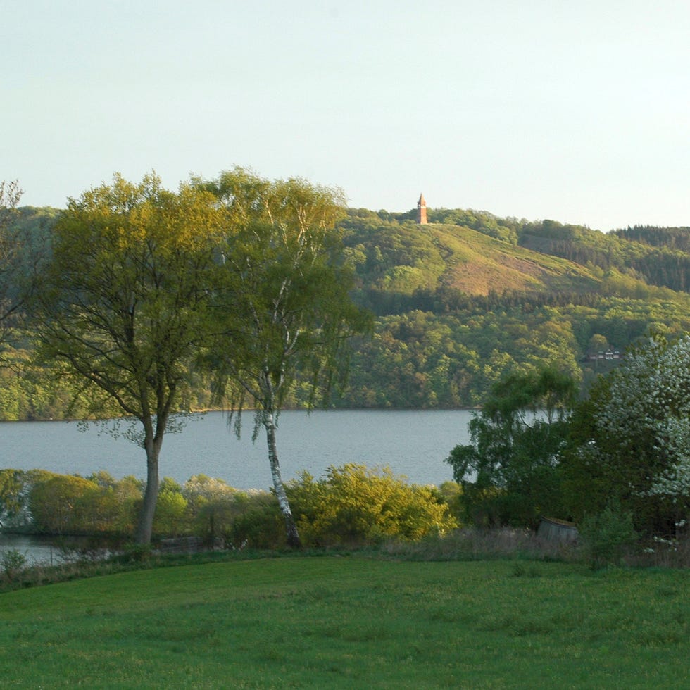 Vegetation, Landscape, Natural landscape, Bank, Land lot, Plain, Grassland, Reservoir, Park, Pasture, 