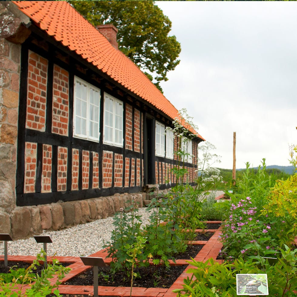 Plant, House, Roof, Fixture, Garden, Shrub, Rural area, Groundcover, Spring, Cottage, 