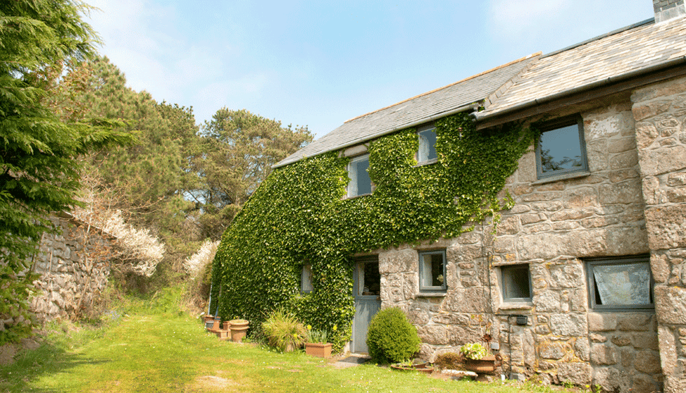 Window, Plant, Property, House, Building, Wall, Land lot, Real estate, Rural area, Home, 