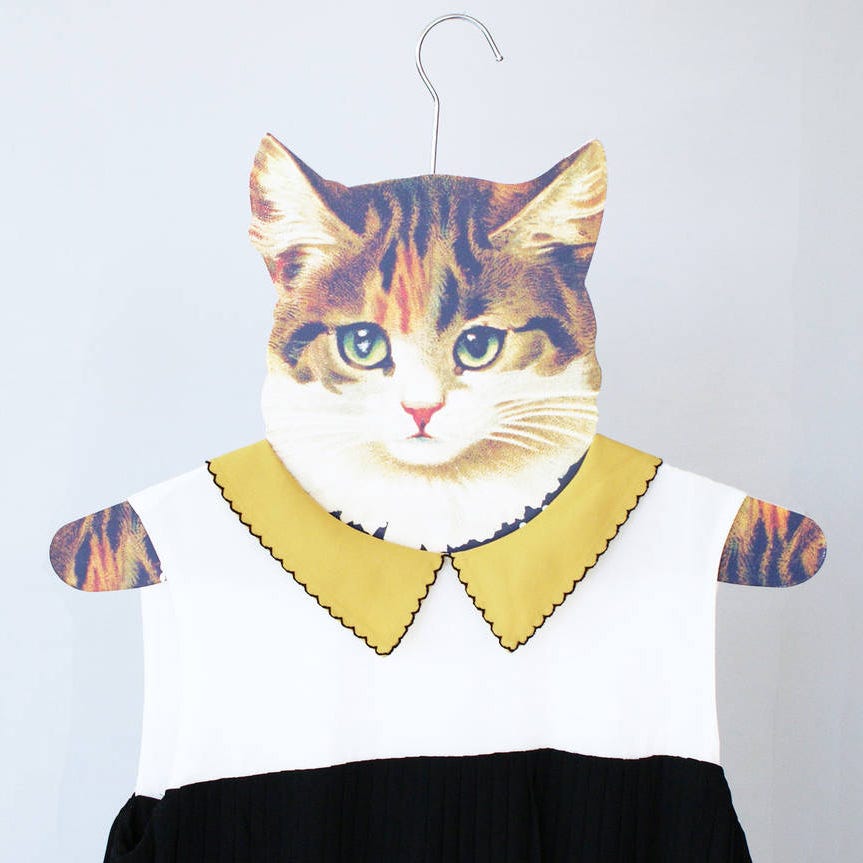 Collar, Vertebrate, Felidae, Small to medium-sized cats, Whiskers, Cat, Carnivore, Neck, Snout, Illustration, 