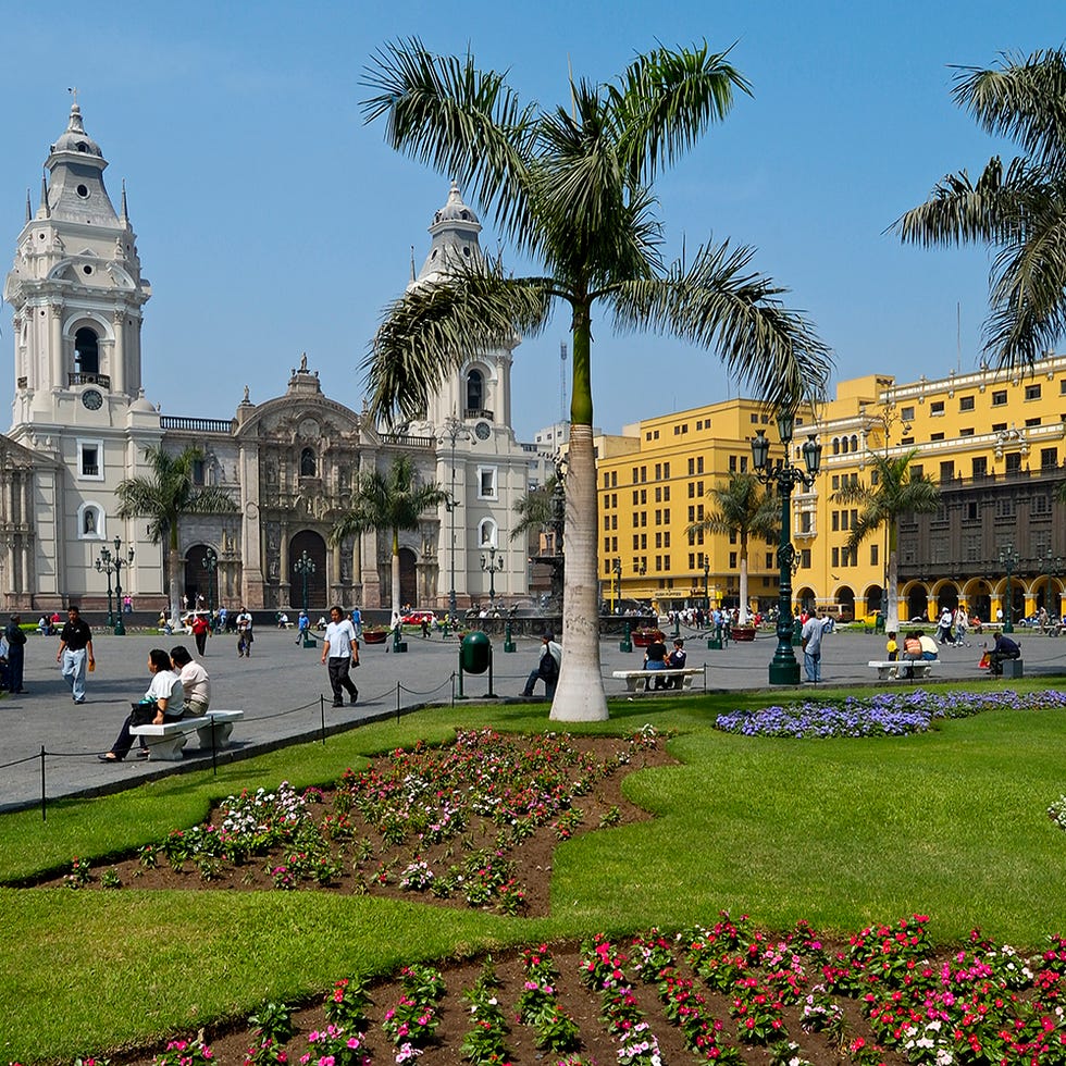 Plant, Public space, City, Landmark, Woody plant, Town square, Dome, Byzantine architecture, Plaza, Urban design, 
