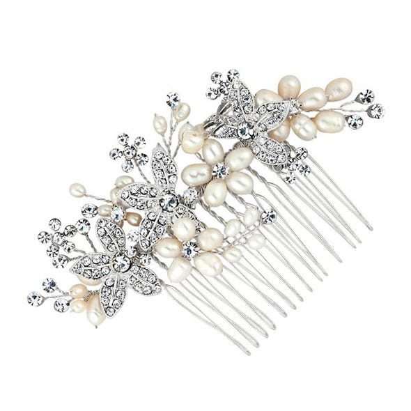 Fashion accessory, Bridal accessory, Art, Brooch, Natural material, Body jewelry, Flowering plant, Beige, Wing, Silver, 