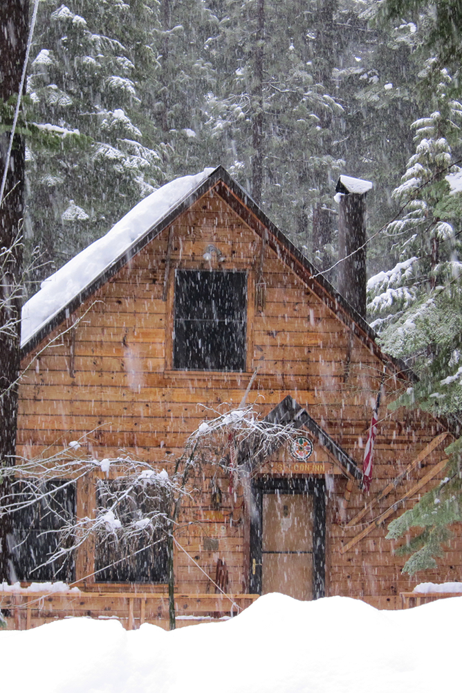 Winter, Property, Freezing, House, Snow, Home, Tree, Roof, Woody plant, Hut, 