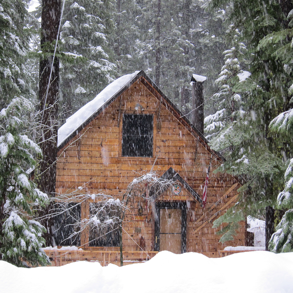 Winter, Property, Freezing, House, Snow, Home, Tree, Roof, Woody plant, Hut, 