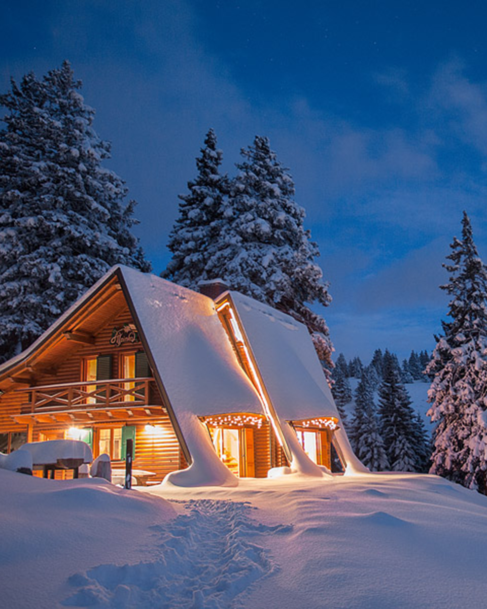 Winter, Freezing, Building, House, Home, Snow, Woody plant, Slope, Real estate, Roof, 