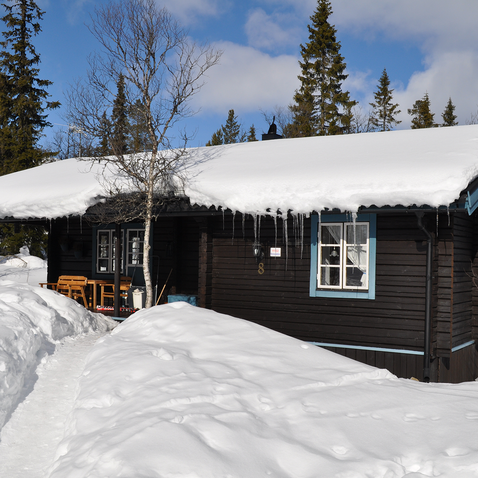 Winter, Property, Freezing, Tree, Snow, Roof, House, Home, Shade, Slope, 