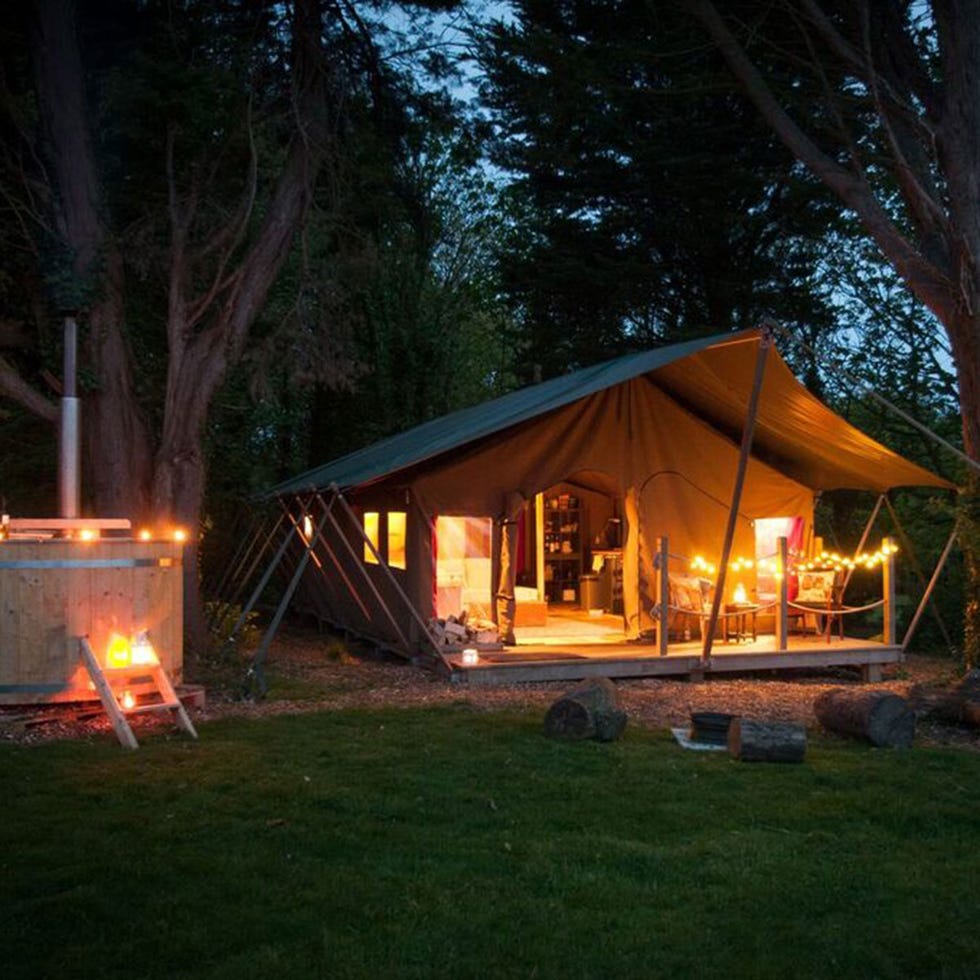 Lighting, Heat, Night, Woody plant, Light, Camping, Home, House, Tent, Fire, 