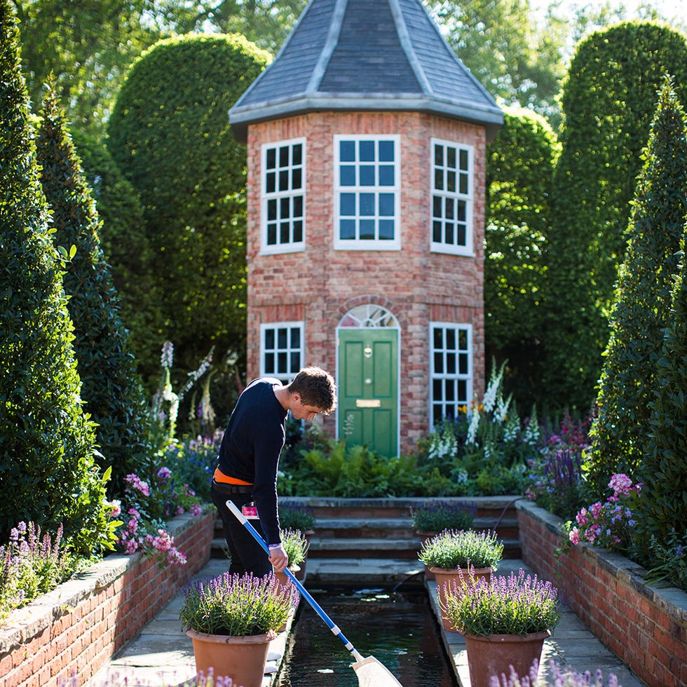 Flowerpot, Shrub, Plant, Garden, House, Hedge, Gardener, Roof, Door, Backyard, 