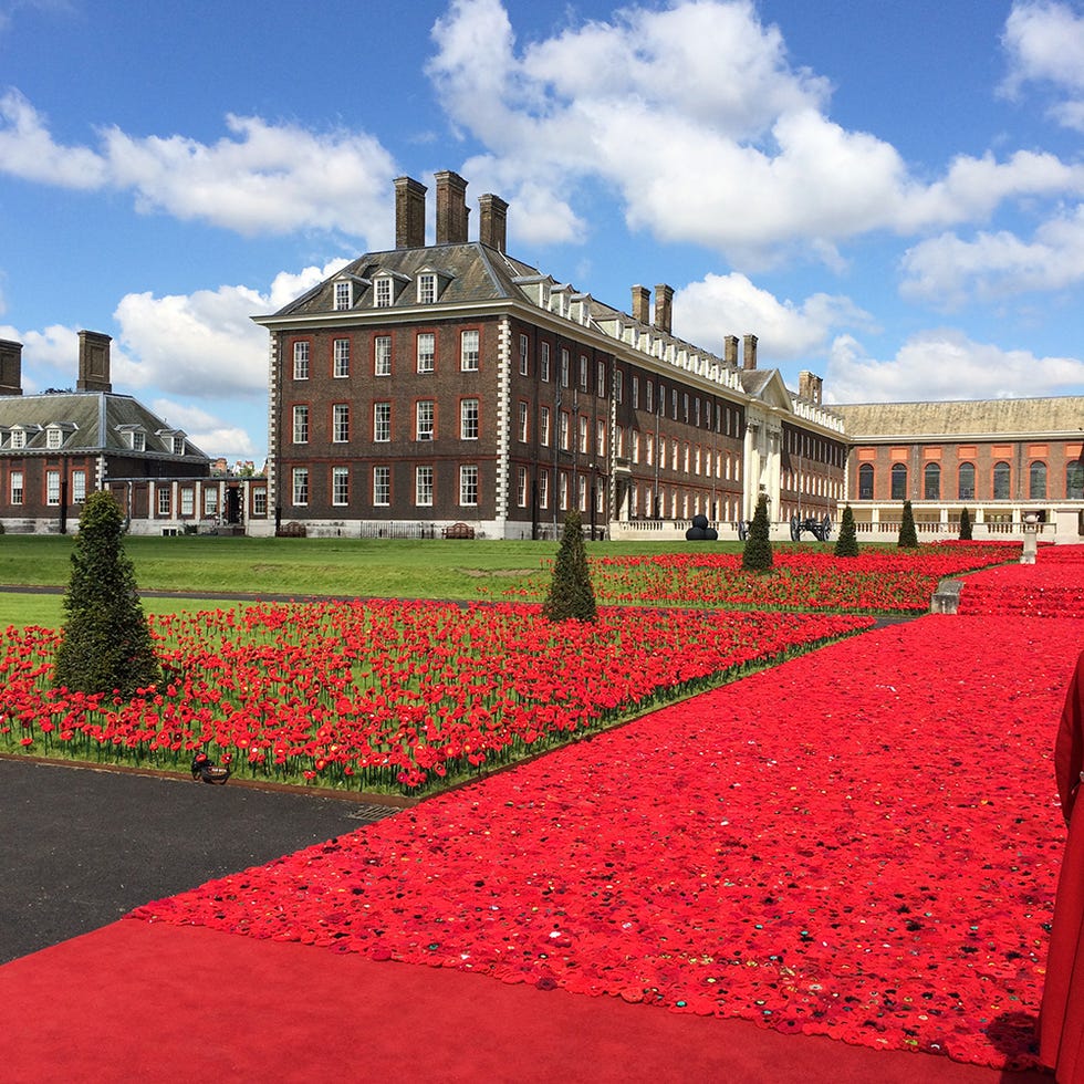 Plant, Cloud, Petal, Red, Flower, Landmark, Carmine, Garden, Palace, Coquelicot, 