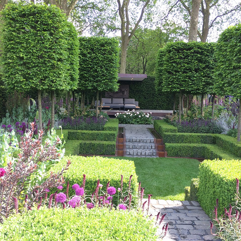 Shrub, Plant, Garden, Hedge, Groundcover, Lavender, Yard, Landscaping, Botanical garden, Park, 