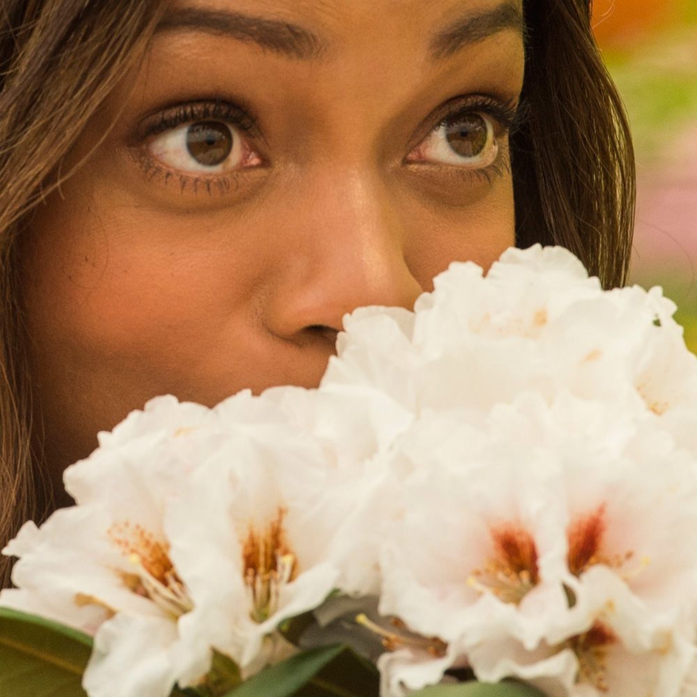 Lip, Petal, Eyebrow, Flower, Eyelash, Beauty, Flowering plant, Photography, Close-up, Portrait photography, 