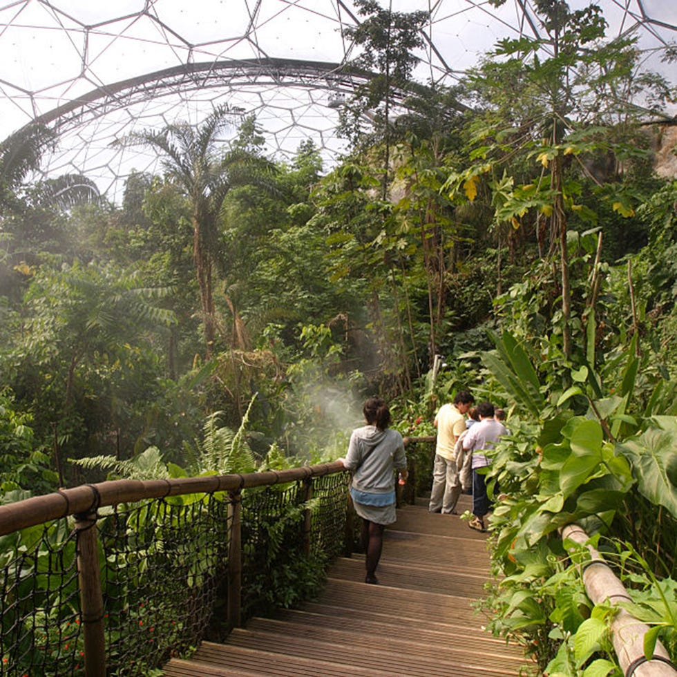 Vegetation, People in nature, Botany, Walkway, Garden, Forest, Boardwalk, Jungle, Botanical garden, Rainforest, Vegetation, People in nature, Botany, Walkway, Garden, Forest, Boardwalk, Jungle, Botanical garden, Rainforest,