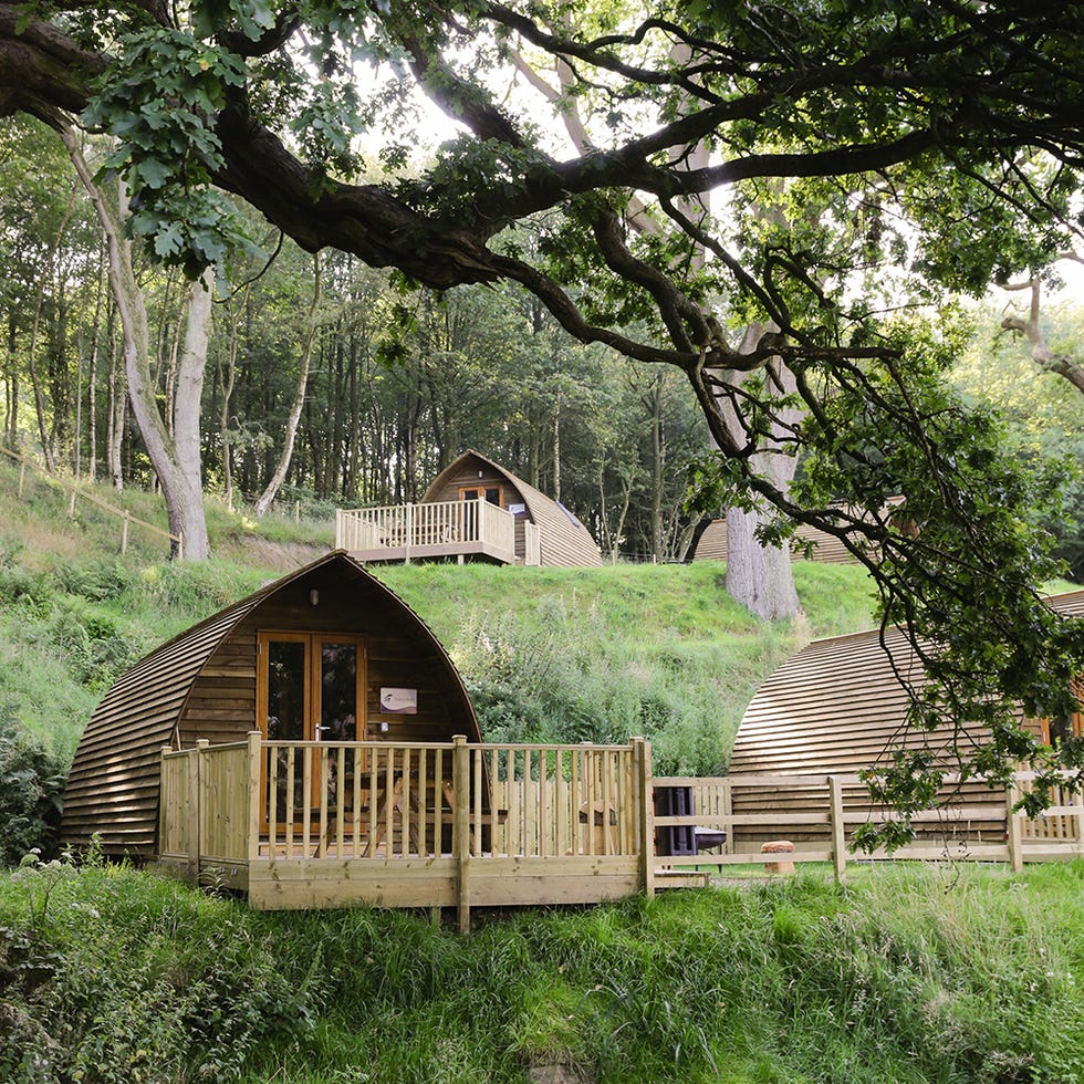 Wood, Plant, Landscape, House, Rural area, Hut, Log cabin, Land lot, Shack, Home, 