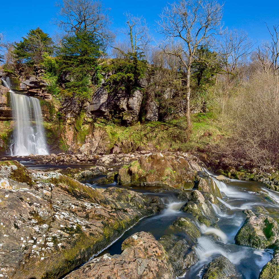 Body of water, Nature, Vegetation, Natural landscape, Water resources, Stream, Landscape, Nature reserve, Fluvial landforms of streams, Watercourse, 