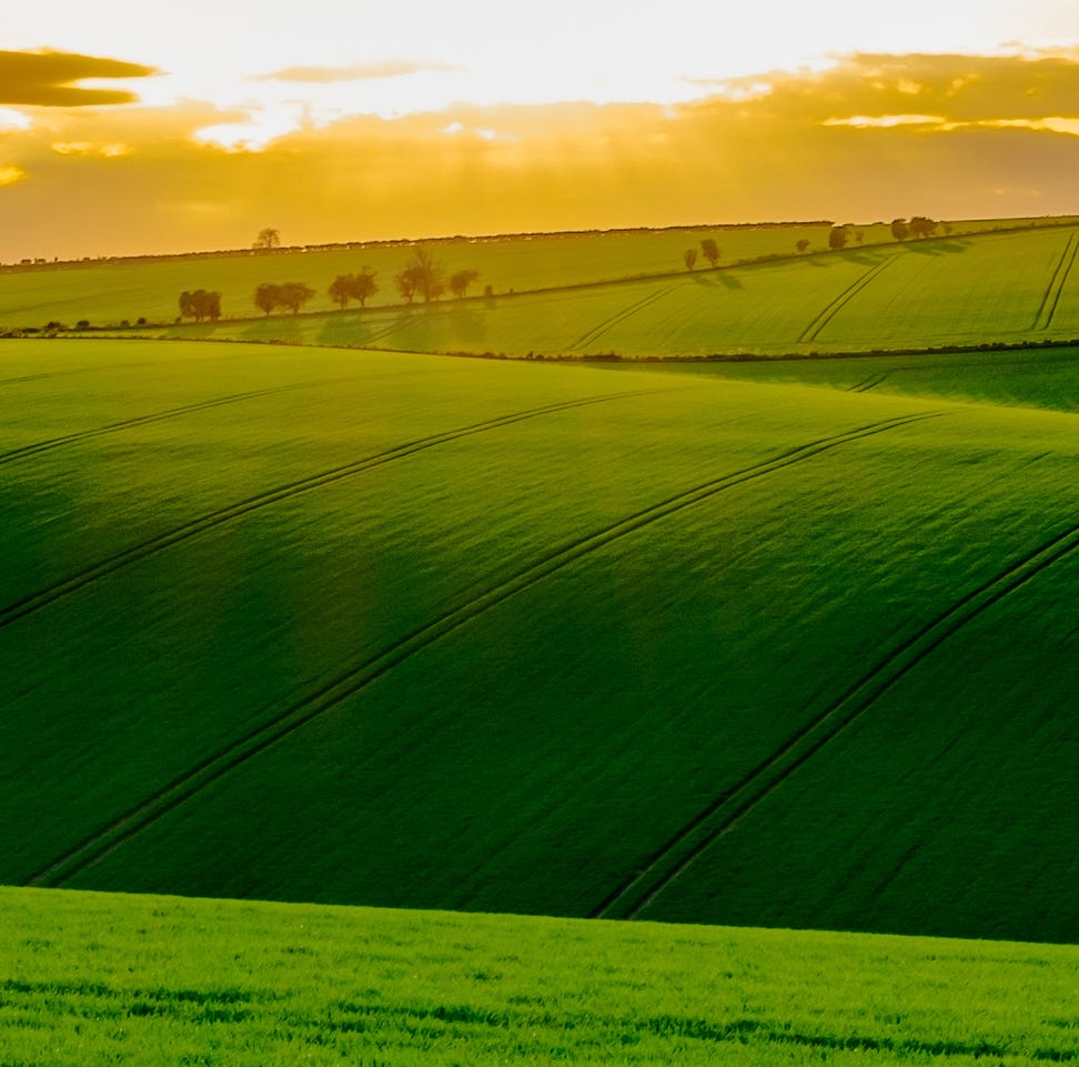 Green, Grass, Yellow, Agriculture, Farm, Plain, Field, Landscape, Sunrise, Grassland, 