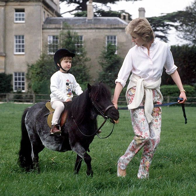 Horse, Mammal, Vertebrate, Bridle, Rein, Equestrianism, Recreation, Horse supplies, Animal sports, Equitation, 