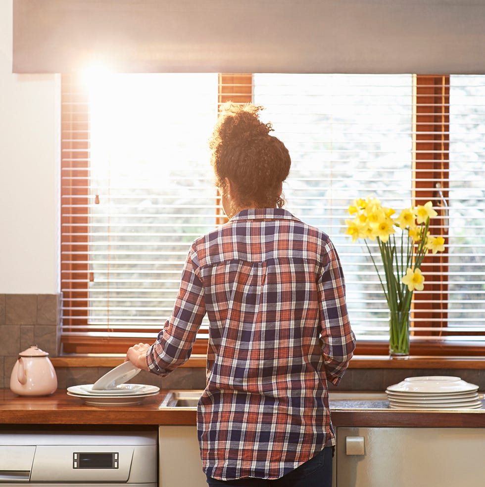 Flowerpot, Fixture, Kitchen, Petal, Countertop, Home appliance, Back, Plaid, Cabinetry, Interior design, 