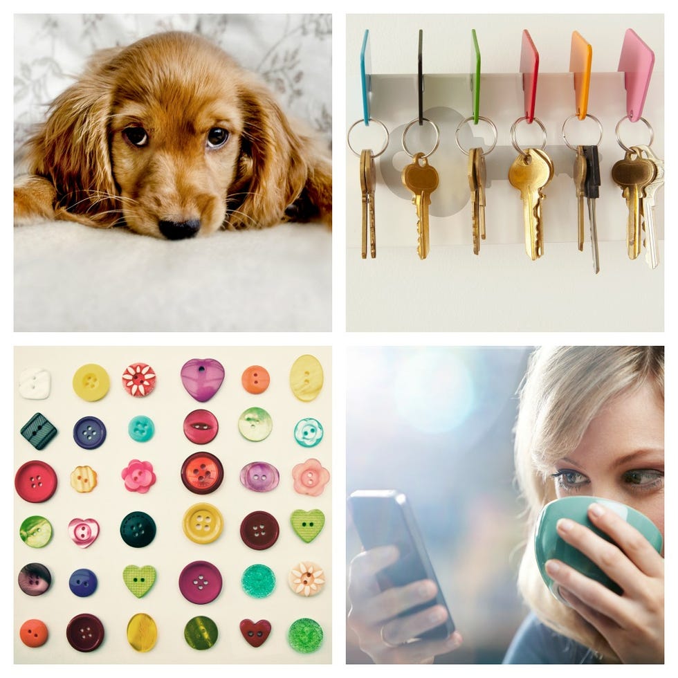 Brown, Product, Dog, Colorfulness, Carnivore, Dog breed, Iris, Eyelash, Liver, Nail, 