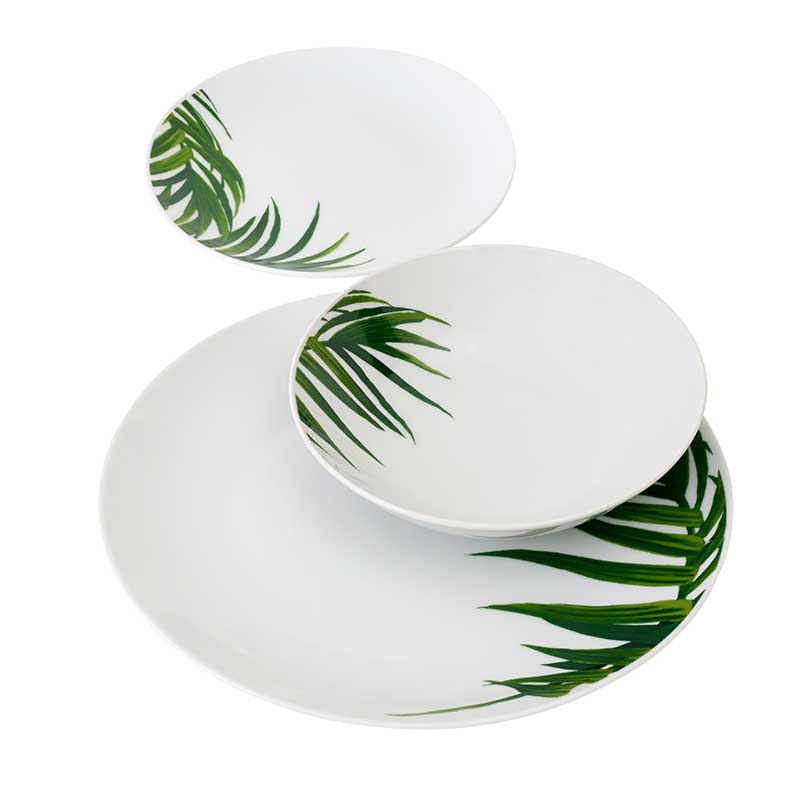 Green, Leaf, Fern, Table, Tree, Vascular plant, Plant, Dishware, Fir, Pine family, 