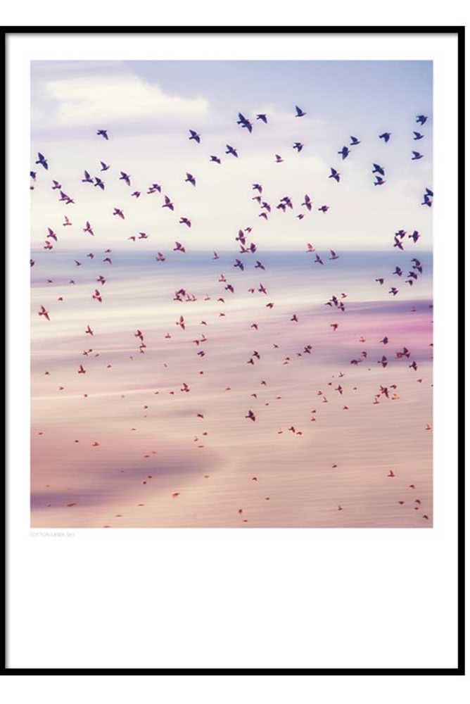 Text, Sky, Bird, Flock, Bird migration, Seabird, Animal migration, 