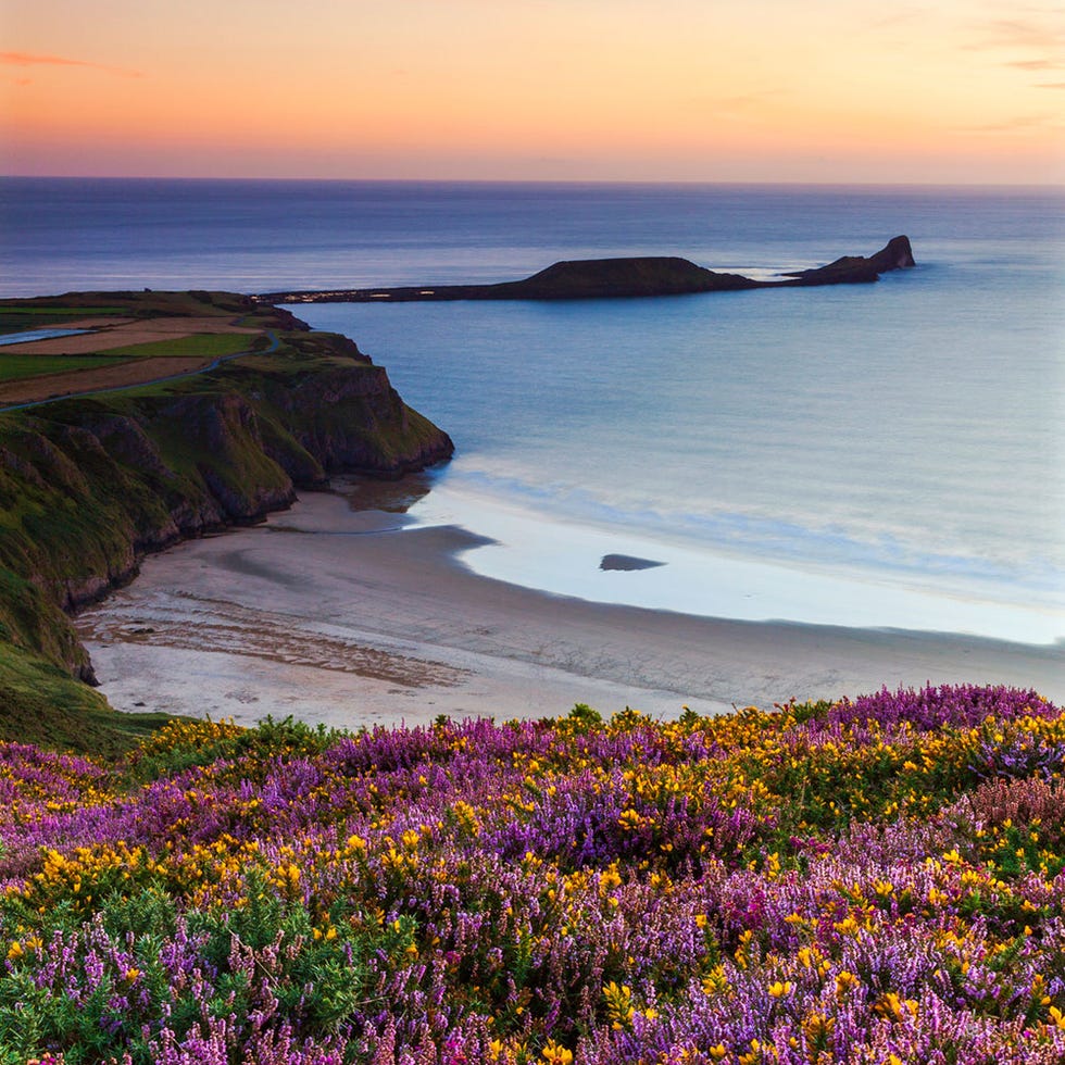 Coast, Body of water, Sea, Nature, Shore, Headland, Ocean, Sky, Coastal and oceanic landforms, Flower, 