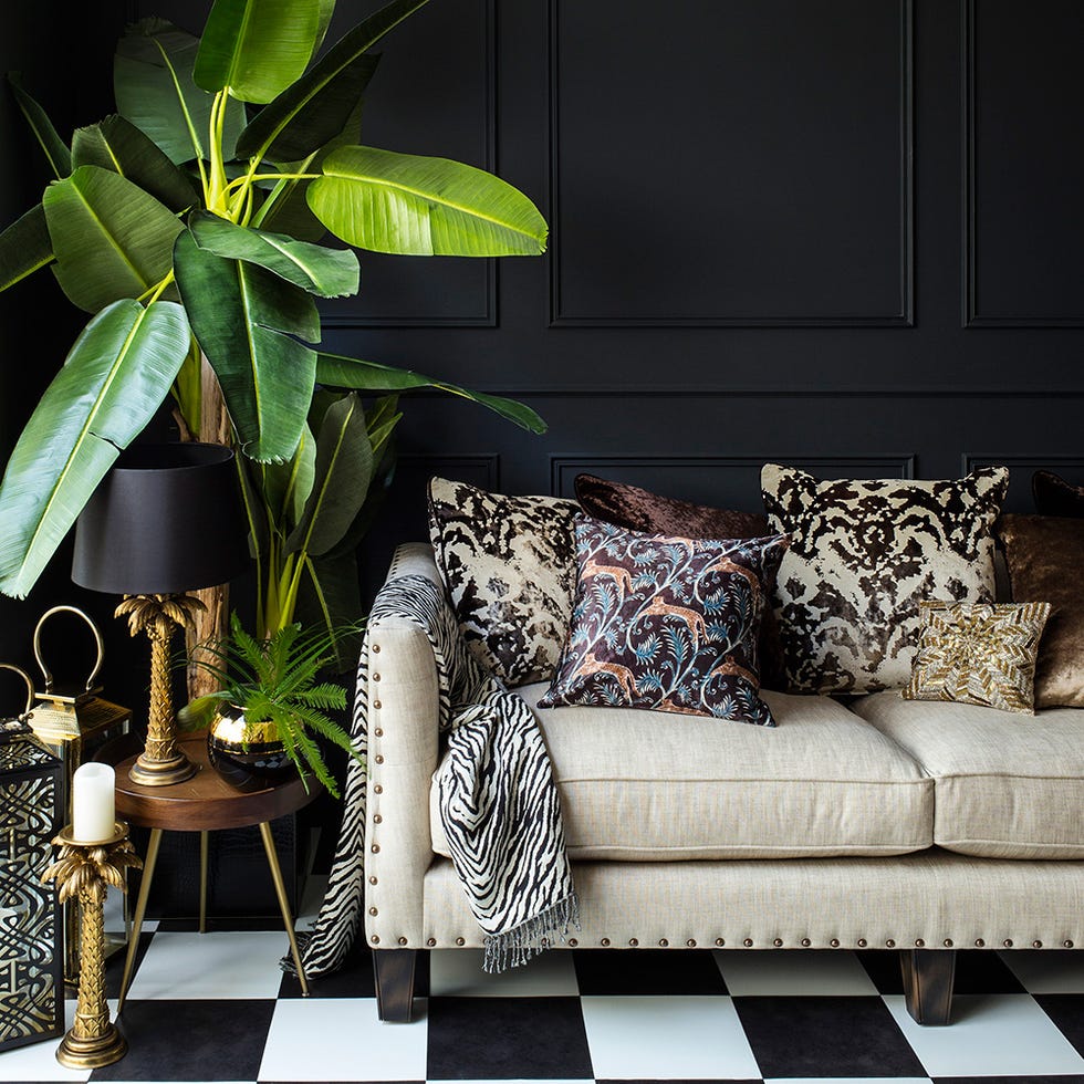 Living room, Black, Furniture, Room, Green, Interior design, Couch, Black-and-white, Houseplant, Lighting, 