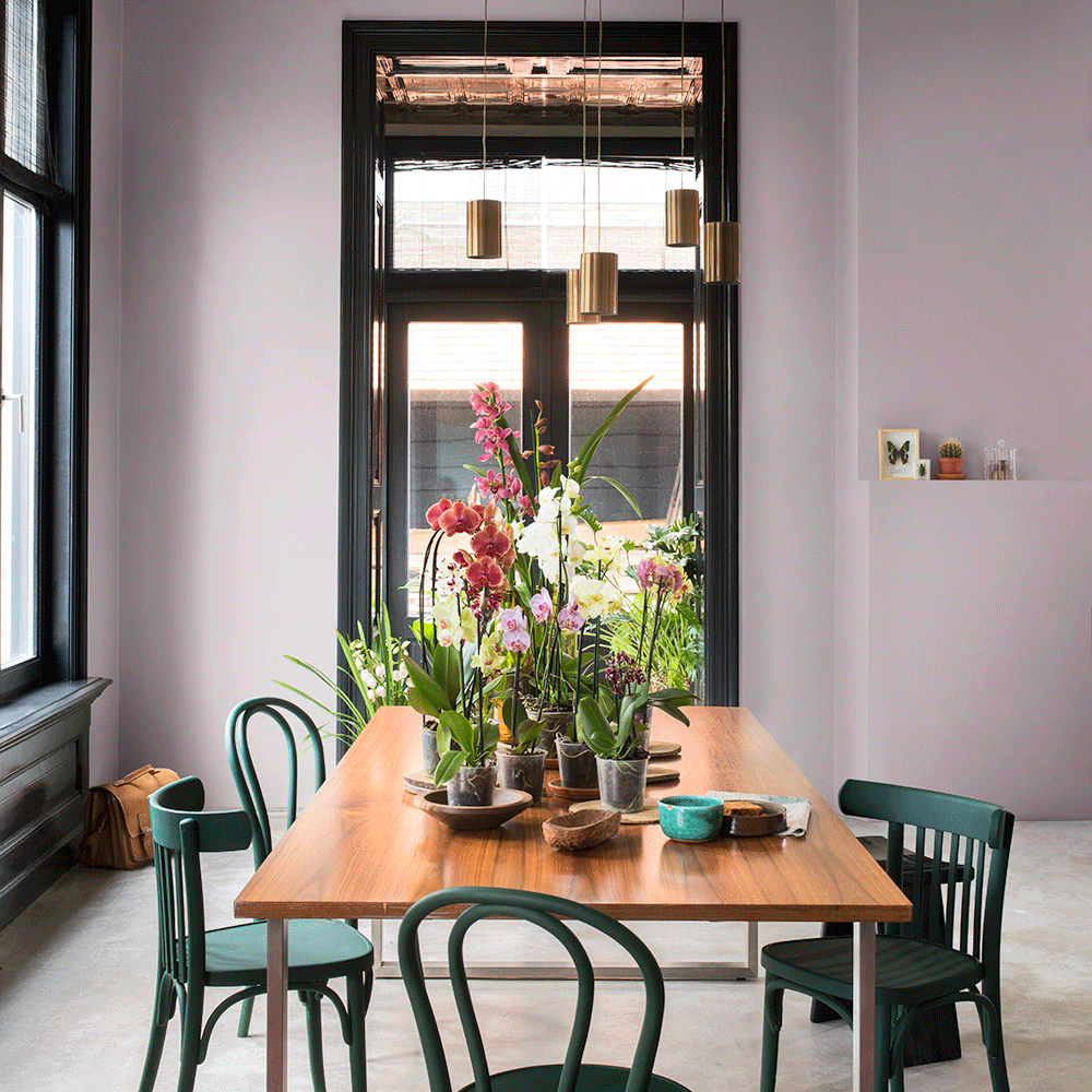 Room, Furniture, Dining room, Table, Interior design, Houseplant, Building, Home, Kitchen & dining room table, House, 