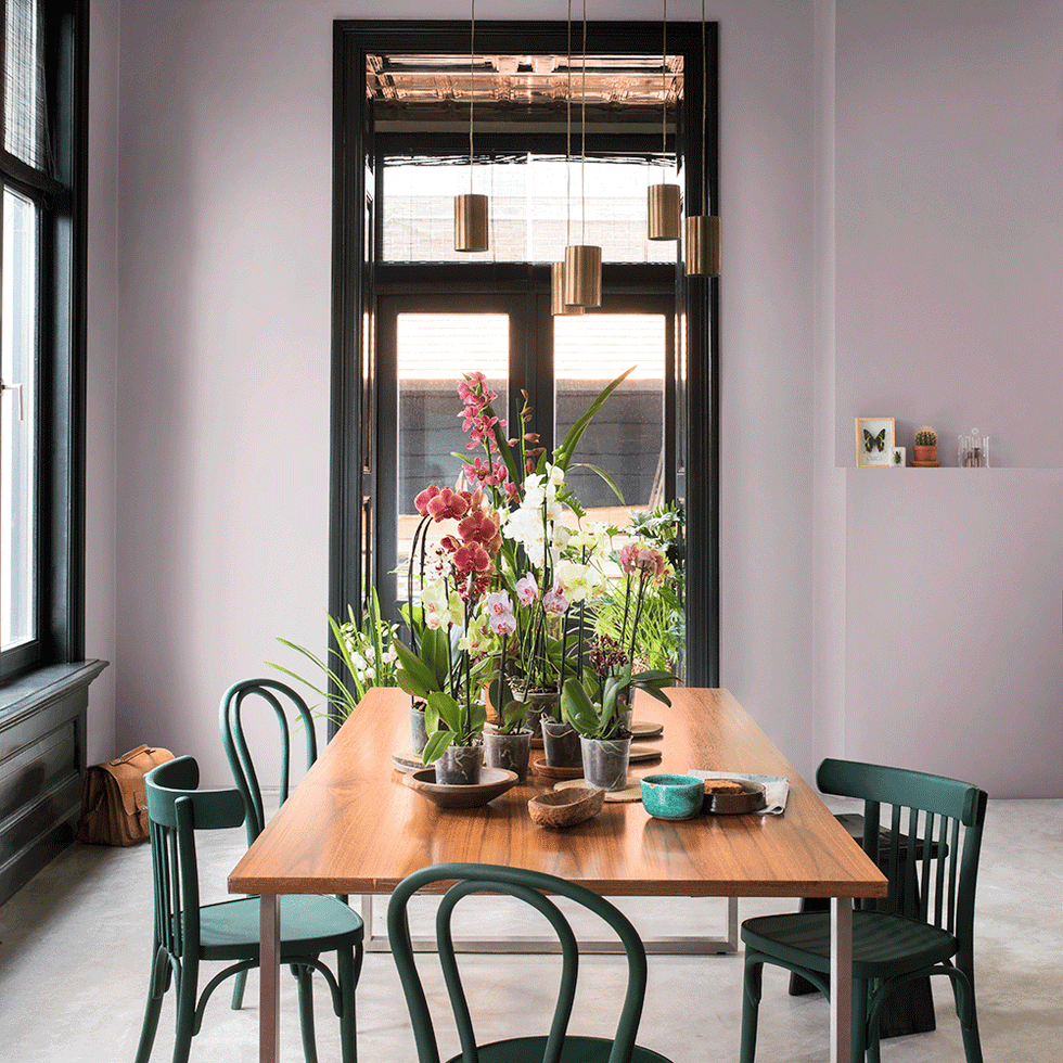 Room, Furniture, Dining room, Table, Interior design, Houseplant, Building, Home, Kitchen & dining room table, House, 