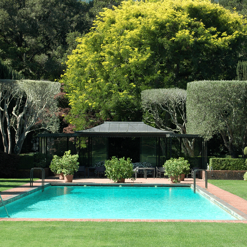 Swimming pool, Green, Grass, Property, Backyard, Natural landscape, Tree, Garden, Shrub, Leisure, 