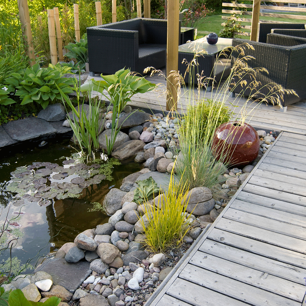 Plant, Garden, Landscape, Pond, Botany, Pebble, Shrub, Water feature, Backyard, Groundcover, 