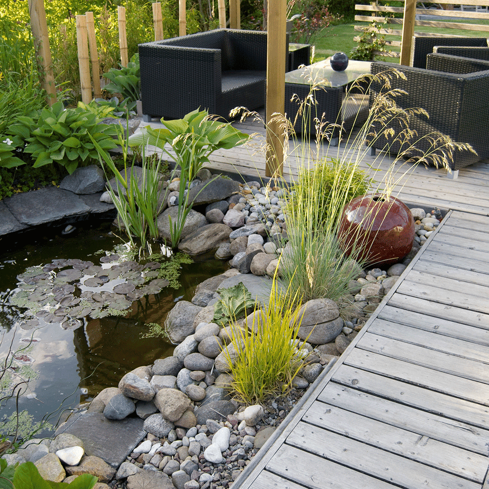 Plant, Garden, Landscape, Pond, Botany, Pebble, Shrub, Water feature, Backyard, Groundcover, 