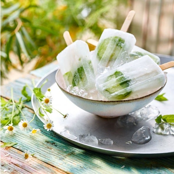 gin and tonic ice lollies
