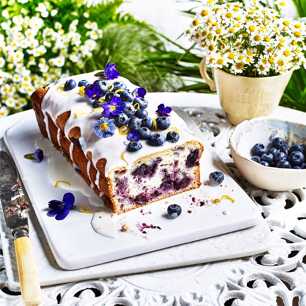 best sponge cake recipes blueberry and lemon cake