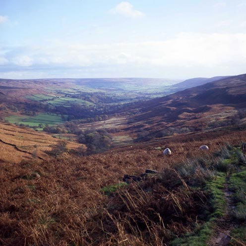 Highland, Plant community, Grassland, Hill, Ecoregion, Valley, Rural area, Fell, Slope, Shrubland, 