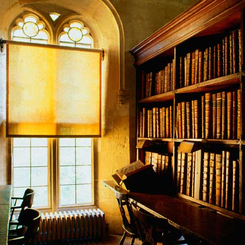 Lighting, Room, Wood, Shelf, Interior design, Bookcase, Furniture, Shelving, Ceiling, Fixture, Lighting, Room, Wood, Shelf, Interior design, Bookcase, Furniture, Shelving, Ceiling, Fixture,