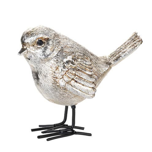 Bird, Beak, Adaptation, Grey, Beige, Serveware, Perching bird, Tail, Drawing, Wren, 