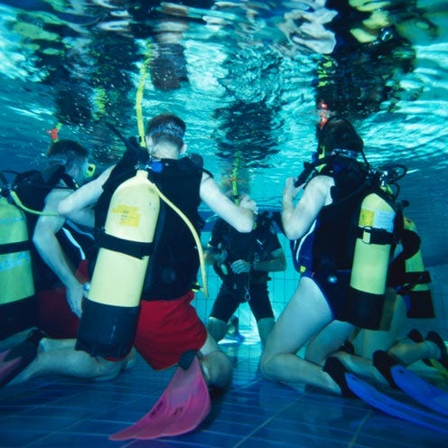 Fluid, Underwater diving, Diving equipment, Underwater, Fun, Recreation, Water, Personal protective equipment, Divemaster, Mammal, 