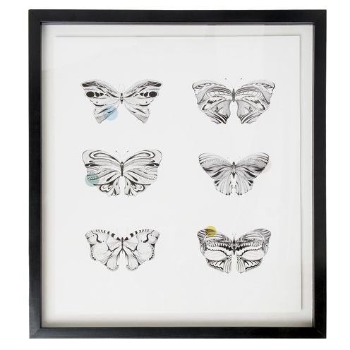 Insect, White, Pollinator, Arthropod, Wing, Invertebrate, Art, Butterfly, Moths and butterflies, Illustration, 