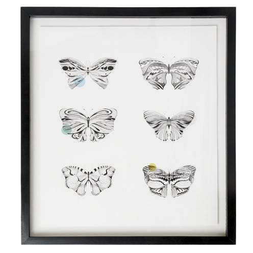 Insect, White, Pollinator, Arthropod, Wing, Invertebrate, Art, Butterfly, Moths and butterflies, Illustration, 