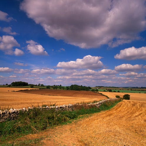 Cloud, Plain, Field, Landscape, Soil, Natural landscape, Land lot, Farm, Agriculture, Grassland, 