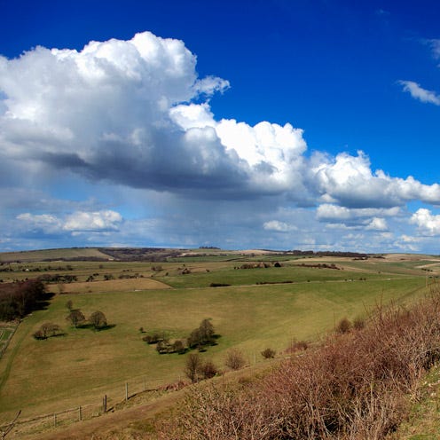 Grass, Sky, Cloud, Natural landscape, Plain, Plant community, Landscape, Grassland, Field, Land lot, 