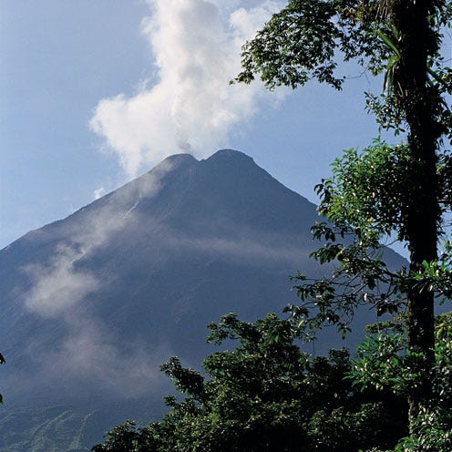 Vegetation, Nature, Sky, Cloud, Branch, Mountainous landforms, Highland, Leaf, Hill, Atmospheric phenomenon, 