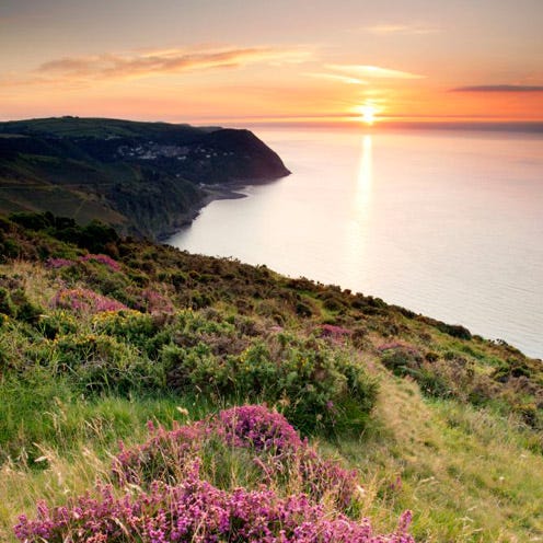 Coastal and oceanic landforms, Natural landscape, Coast, Plant community, Landscape, Flower, Headland, Sunset, Shore, Promontory, 