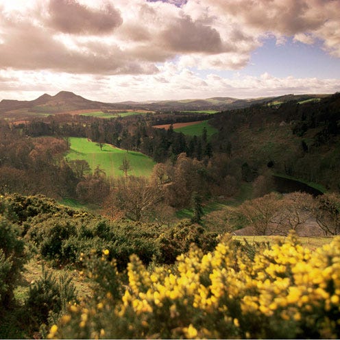 Nature, Vegetation, Mountainous landforms, Natural landscape, Plant community, Highland, Landscape, Hill, Valley, Mountain, 
